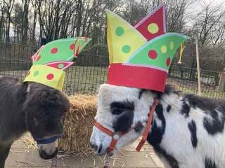 Op de boerderij het hoefveld van  zorginstelling Koraal Parkstad - Op de Bies & Gastenhof hebben Sjors en Sjimmie hebben zin in carnaval  / vasteloavend ?2026 met de steek dank aan A&o en het wordt mo