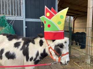 Op de boerderij het hoefveld van  zorginstelling Koraal Parkstad - Op de Bies & Gastenhof hebben Sjors en Sjimmie hebben zin in carnaval  / vasteloavend ?2026 met de steek dank aan A&o en het wordt mo