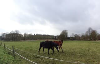 Een mooie winterdag met af en toe een beetje zon.