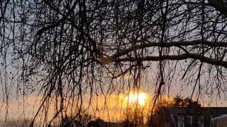 Gouden zonsondergang