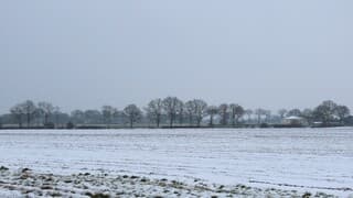onderweg naar "Drentsche Aa" winterse vergezichten.