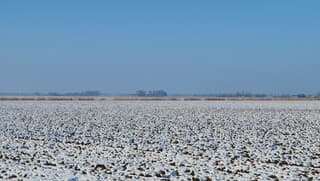 Dit was het weerbeeld op vrijdag in de Flevopolder