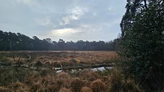 Zon heeft moeite om door de bewolking heen te komen