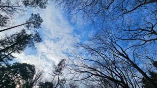 Weer wat blauwe lucht zichtbaar in het noorden