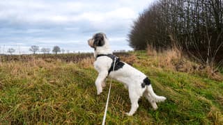 Op de uitkijk voor beter weer