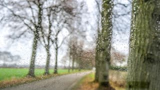 Af en toe een regenbuitje