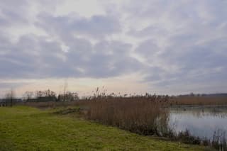 Het zonnetje probeerde het 