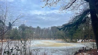Zomaar een winters plaatje uit Olterterp.