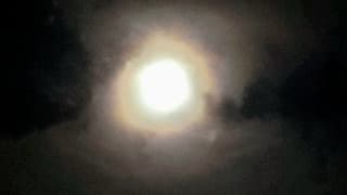 Krans om de volle maan. 