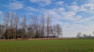 Koud maar zonovergoten!