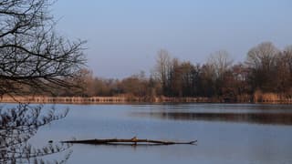 Rustige ochtend aan het Wylermeer
