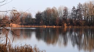 De ochtend zon breekt door