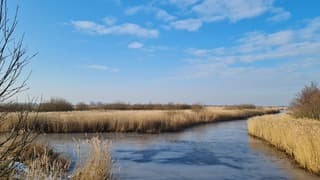 Een kille, mooie winterdag