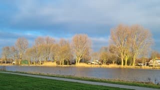 De zon kwam er bij eind van de middag