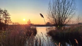 Prachtig koud weer einde van de dag