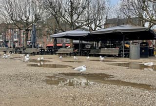 Natte voeten op het Museumplein 