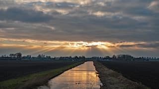Mooie zonneharpen