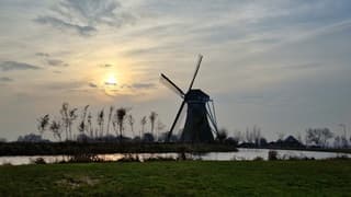 Een waterig zonnetje 