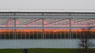 WARMTE en LICHT in de KASSEN