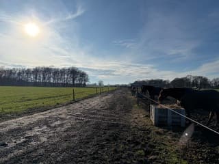 Lente in Knegsel