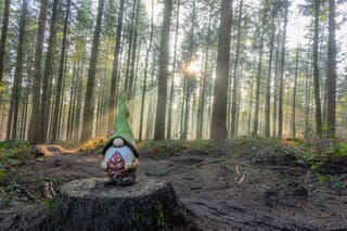 Kabouter in de zonnestralen
