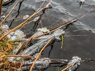 Vries-Glas sculptuurtjes in het water