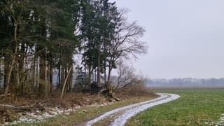 Koude donderdagochtend in Drenthe 
