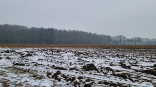 Winterse boswandeling in Drenthe 