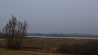 De Millingerwaard kleurt grijs vandaag