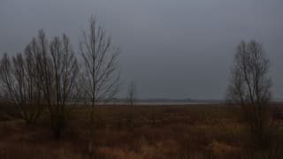 Koud en grijs bij de Millingerwaard