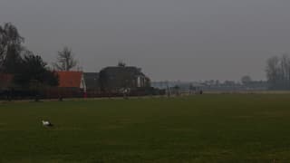 Ooievaar op zoek naar eten