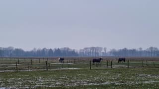Jassen aan in Drenthe!