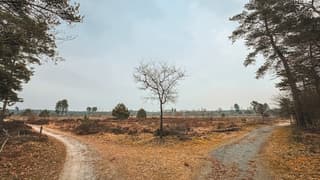 De natuur van Leusden 