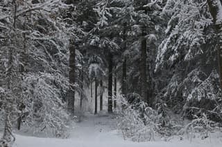 Winterwonderland in Drenthe