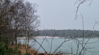 Winterse wandeling in Drenthe 