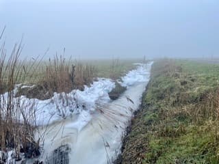 Mistig, koud en winters Terschelling 