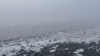 Mistig en ijzig Terschelling 