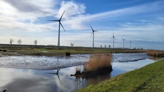 Mooie weerspiegeling 