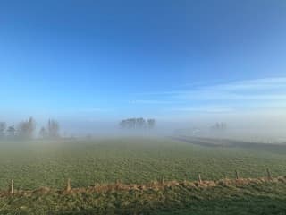 Mist in de uiterwaarden 