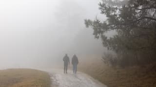 Vlieland in Mist gehuld