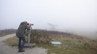 Verkijken in de kleine wereld, mistig Vlieland