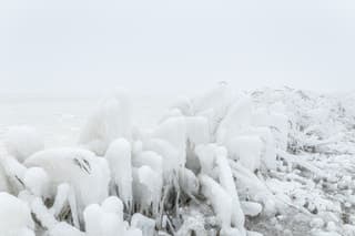 Mist en ijssculpturen langs het Lauwersmeer 