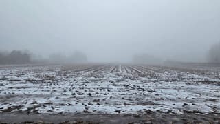 Mist boven de smeltende sneeuw 