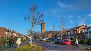 Heerlijk wandelweer met blauwelucht 