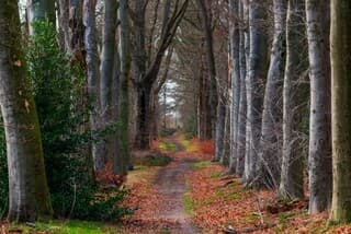  Landgoed Mattemburgh