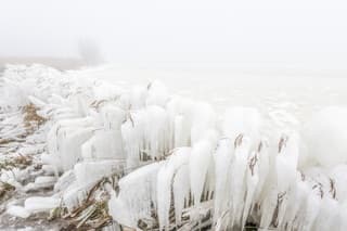 Mist en ijssculpturen langs het Lauwersmeer 