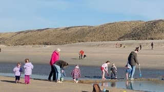 Lenteachtige winterdag 