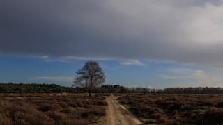 Laaghangende bewolking en zon 