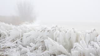Mist en ijssculpturen langs het Lauwersmeer 