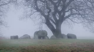 Hunebed D42 in de mist.